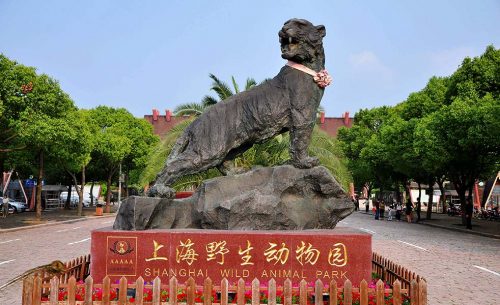 上海野生動(dòng)物園演出擴(kuò)聲