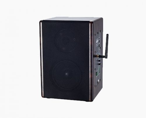 LAX SK-9523 數字網絡監聽音箱